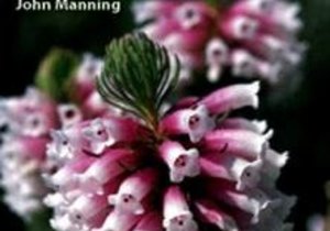 Field guide to Fynbos by John Manning